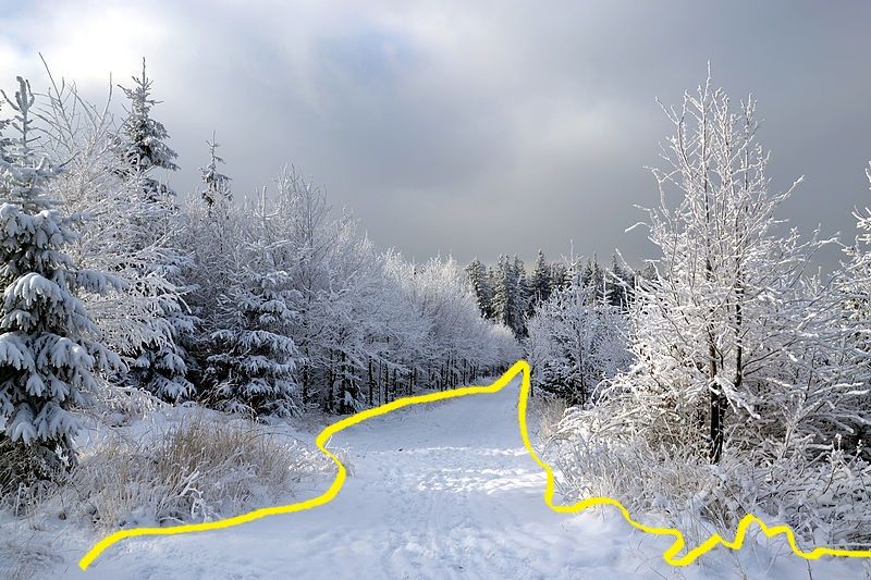 zimawracaj (zimawracaj.lens) Lens social identity (.lens handle) PFP