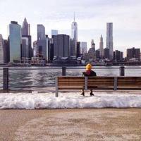 managedata (managedata.lens) Lens social identity (.lens handle) PFP