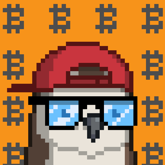 tucan (tucan.lens) Lens social identity (.lens handle) PFP