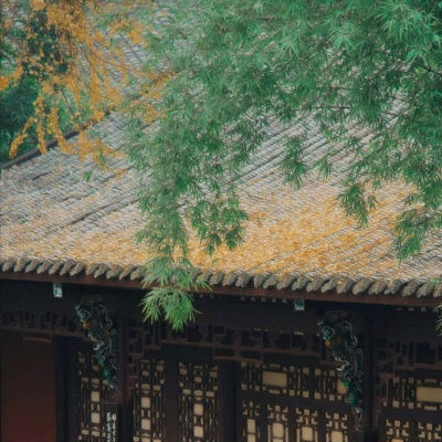 arguerit (arguerit.lens) Lens social identity (.lens handle) PFP