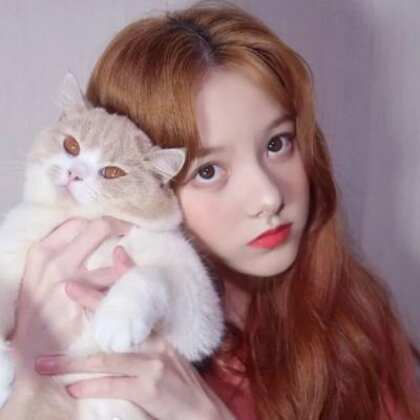 ohadoafa.linea.eth Linea Name Service (.linea.eth domains) based on ENS PFP