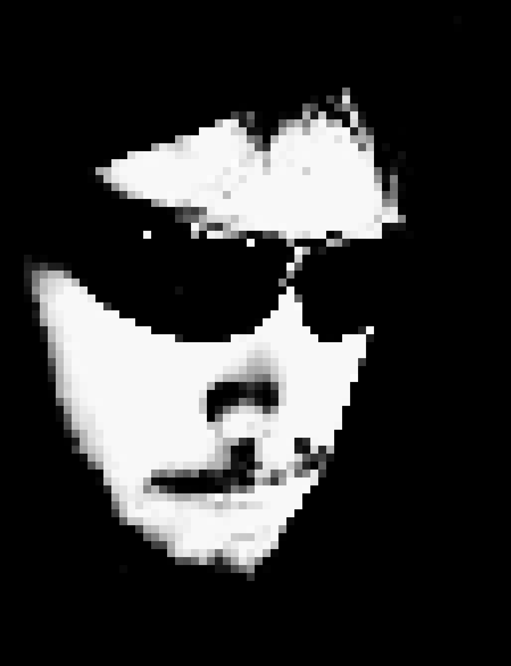 fanxu.lens Lens social identity (.lens handle) PFP