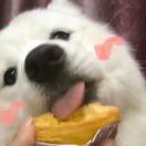 Arthur Benson (arthurbenson.lens) Lens social identity (.lens handle) PFP