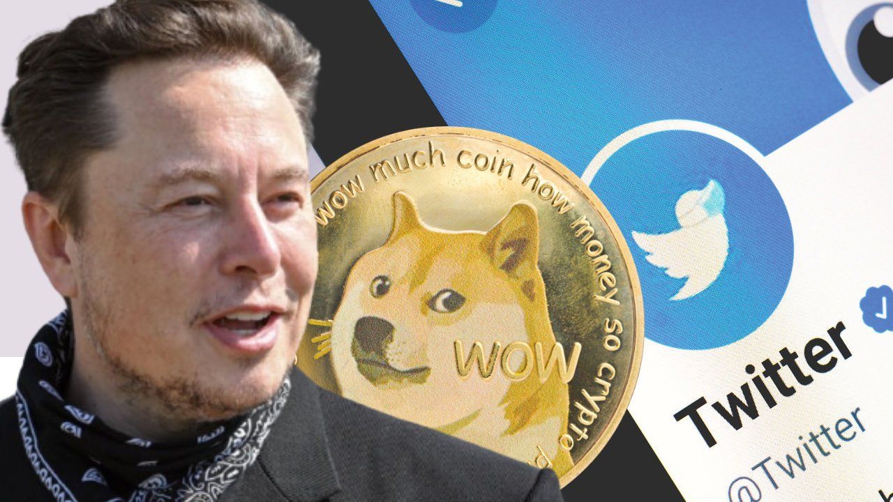 Dogecoin ElonMusk's Lens avatar