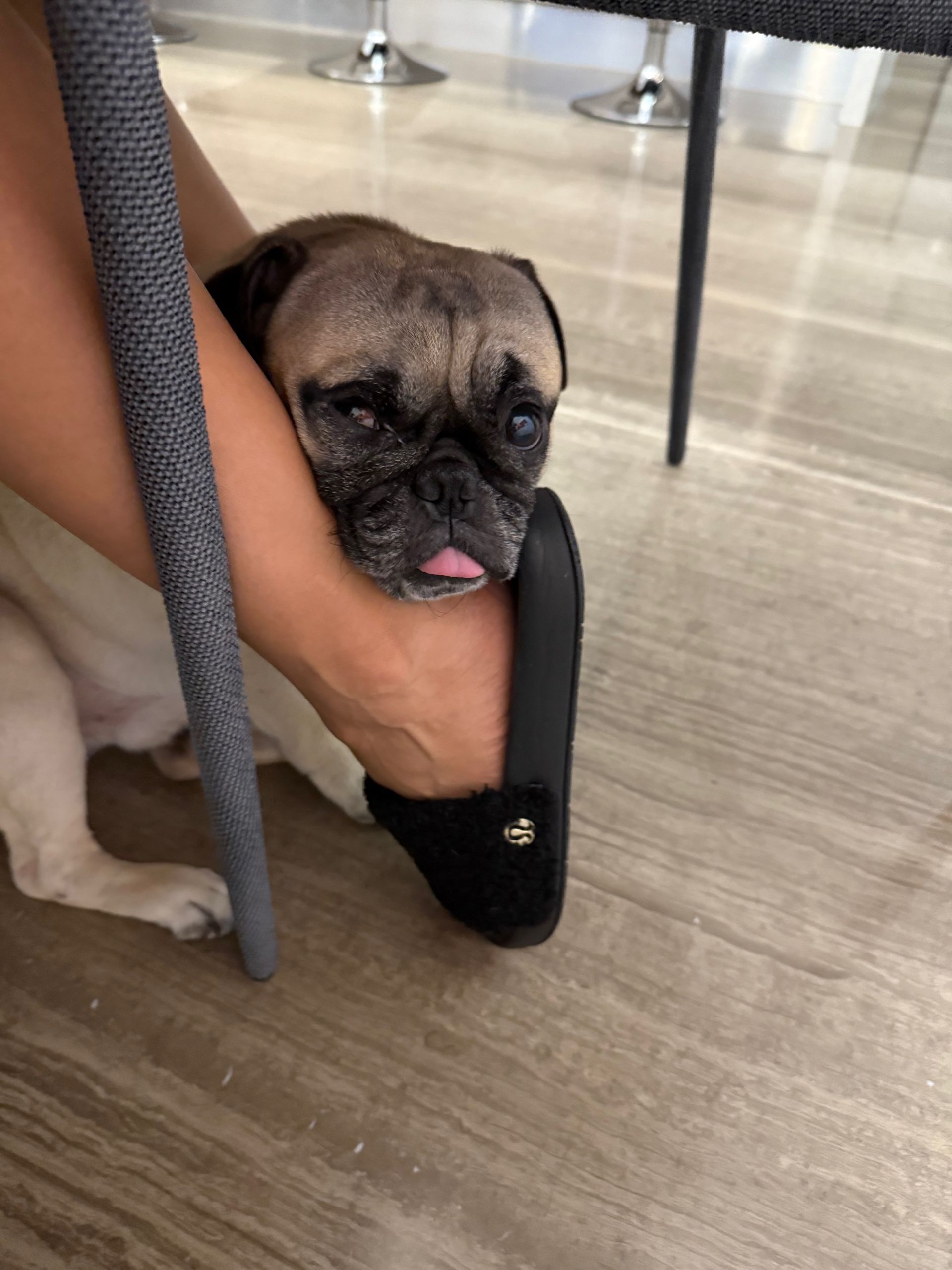 mute (mutedd.lens) Lens social identity (.lens handle) PFP