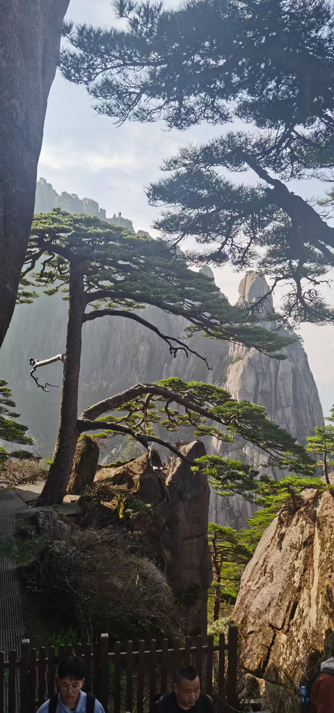 nuls09 (nuls09.lens) Lens social identity (.lens handle) PFP