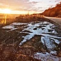 shecut (shecut.lens) Lens social identity (.lens handle) PFP