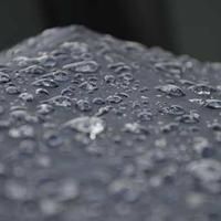 fordata (fordata.lens) Lens social identity (.lens handle) PFP