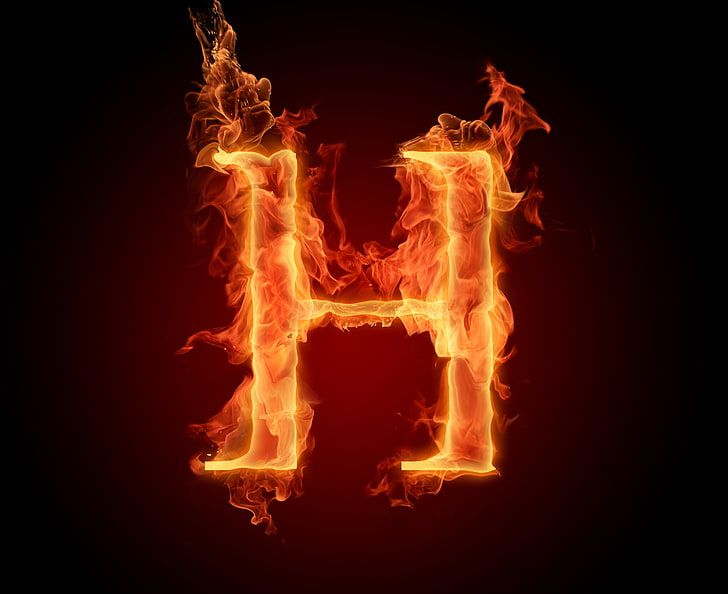 Hamid's Lens avatar