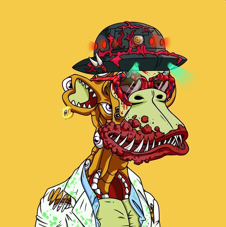 Amir's Lens avatar