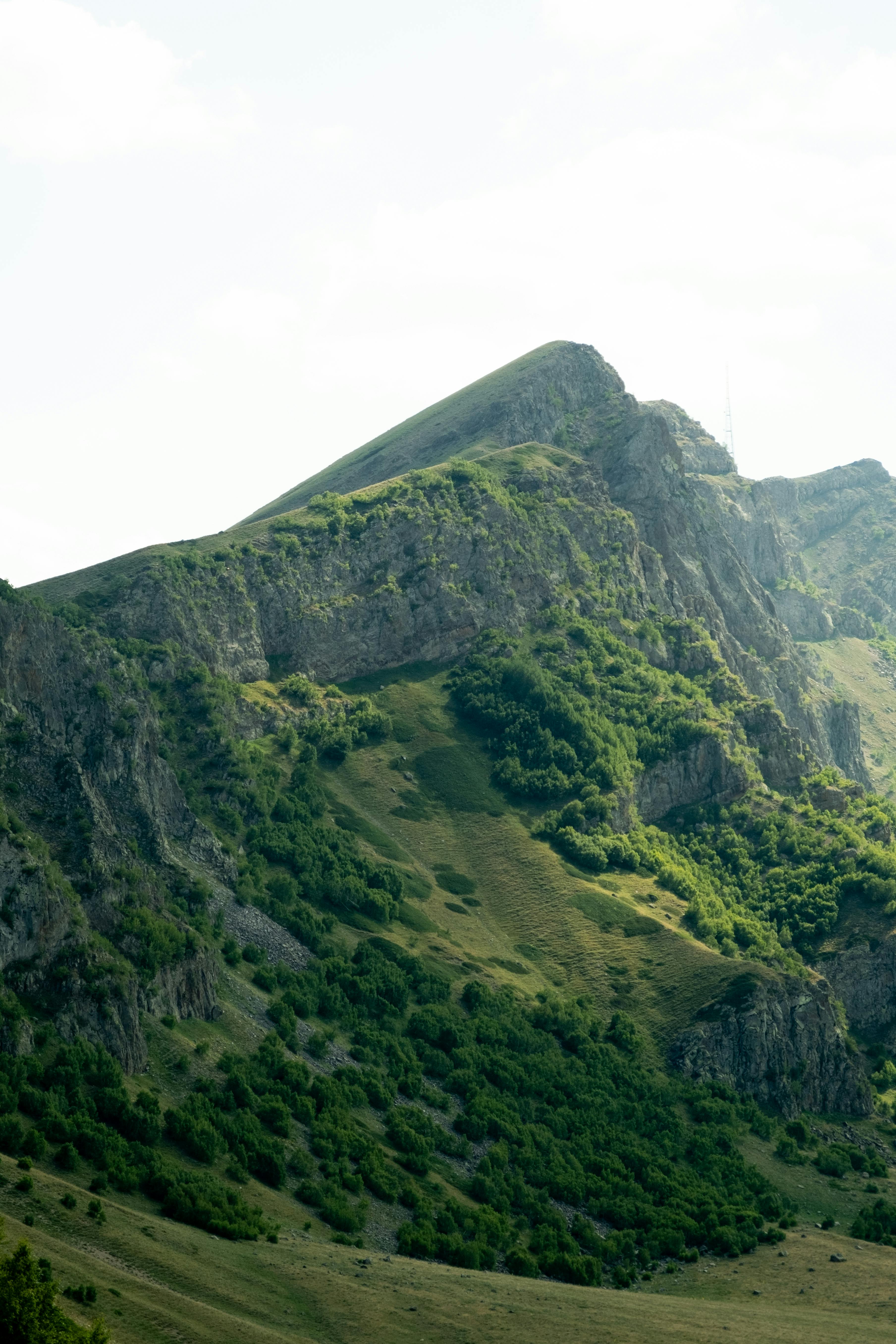 Yuyinmei (yuyinmei.lens) Lens social identity (.lens handle) PFP