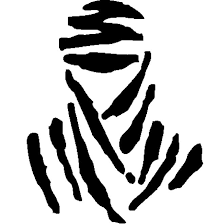 DrOizo (droizodroizo.lens) Lens social identity (.lens handle) PFP