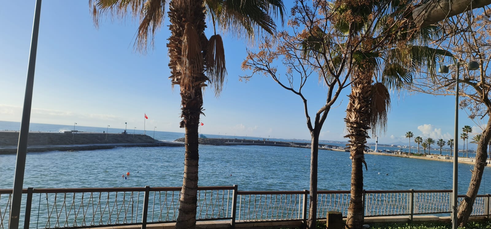 hamam (hamam.lens) Lens social identity (.lens handle) PFP