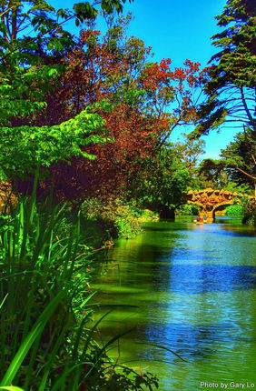 sevket (sevketgunduz.lens) Lens social identity (.lens handle) PFP