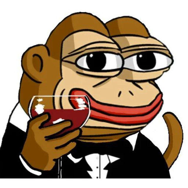 moshtaba's Lens avatar