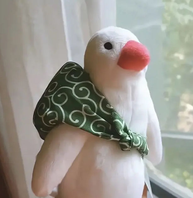 rogere (rogere.lens) Lens social identity (.lens handle) PFP