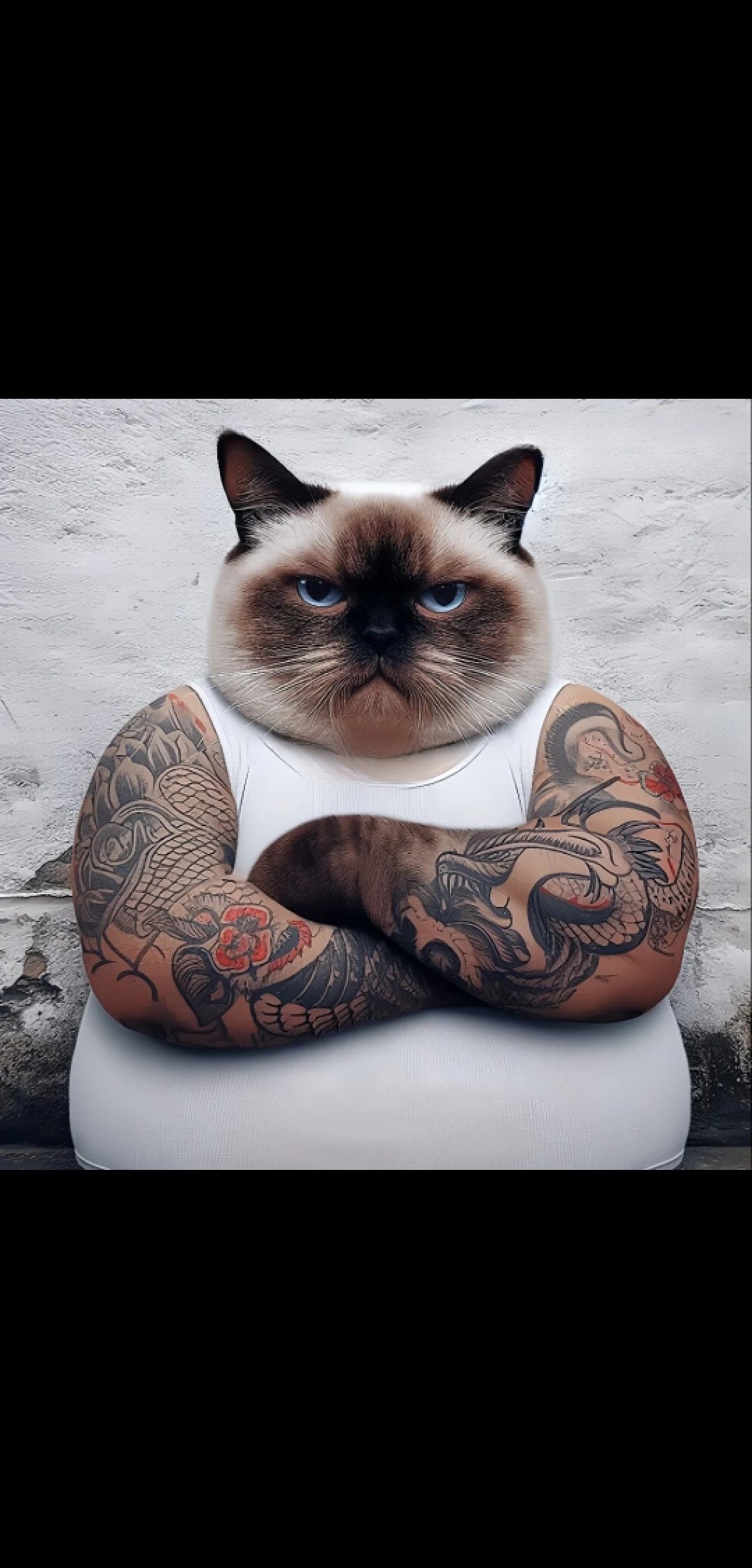 hard (hard1.lens) Lens social identity (.lens handle) PFP