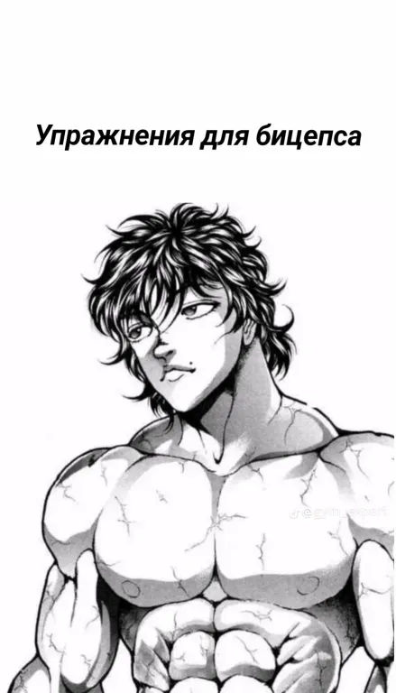 Osnova (saboters.lens) Lens social identity (.lens handle) PFP