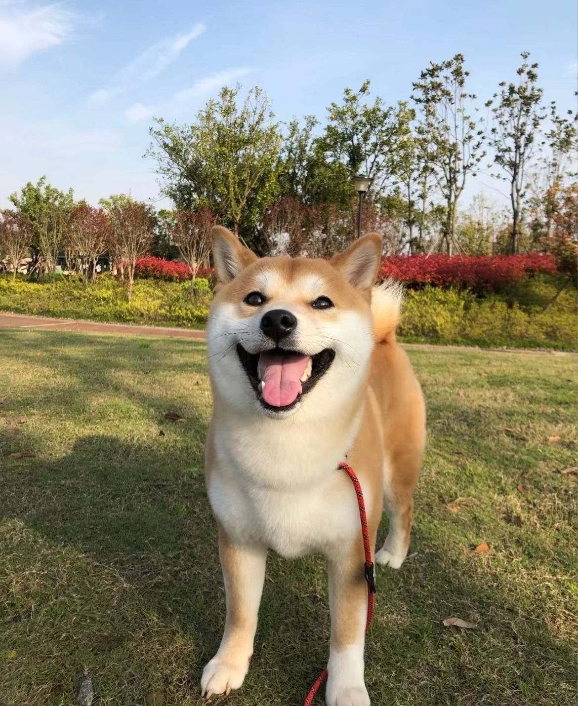 kpeters20 (kpeters20.lens) Lens social identity (.lens handle) PFP