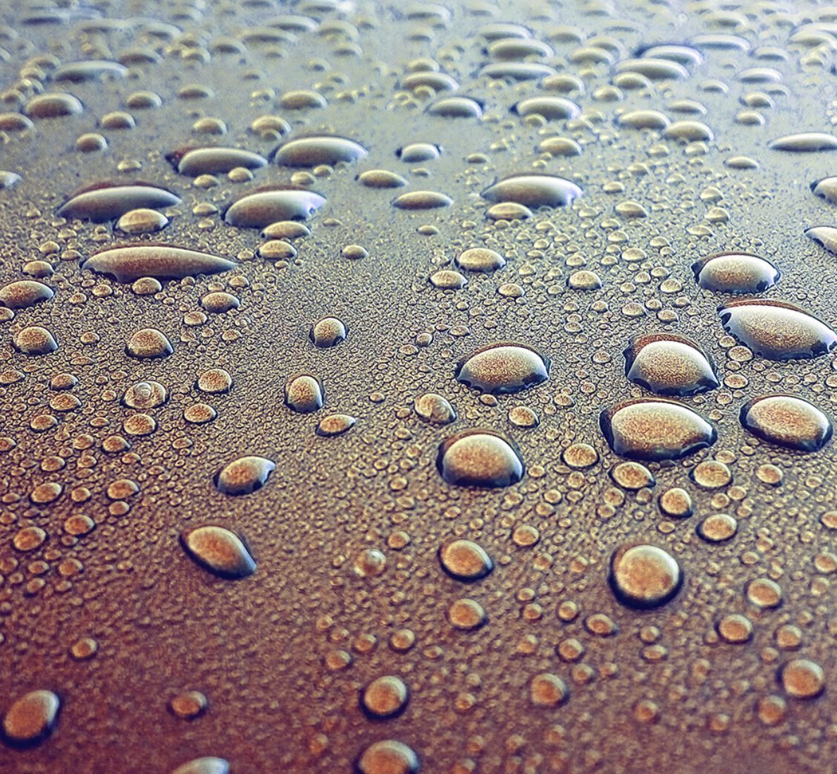 meo-niko.linea.eth Linea Name Service (.linea.eth domains) based on ENS PFP