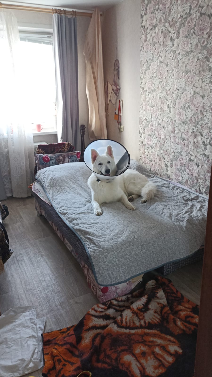 Anton (sakhnoanton.lens) Lens social identity (.lens handle) PFP