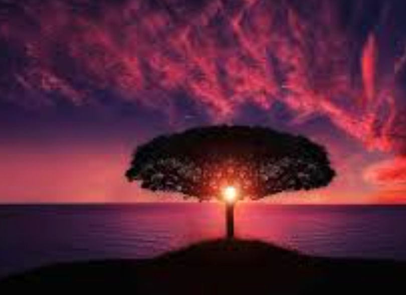 rob (porterrob.lens) Lens social identity (.lens handle) PFP