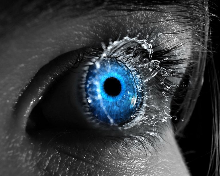 AlexChu's Lens avatar