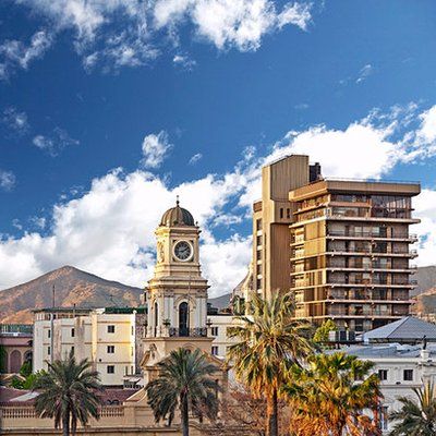 elephant (elefante.lens) Lens social identity (.lens handle) PFP