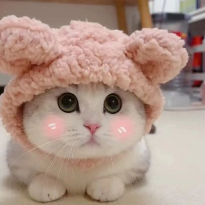 执行力 (bob69.lens) Lens social identity (.lens handle) PFP