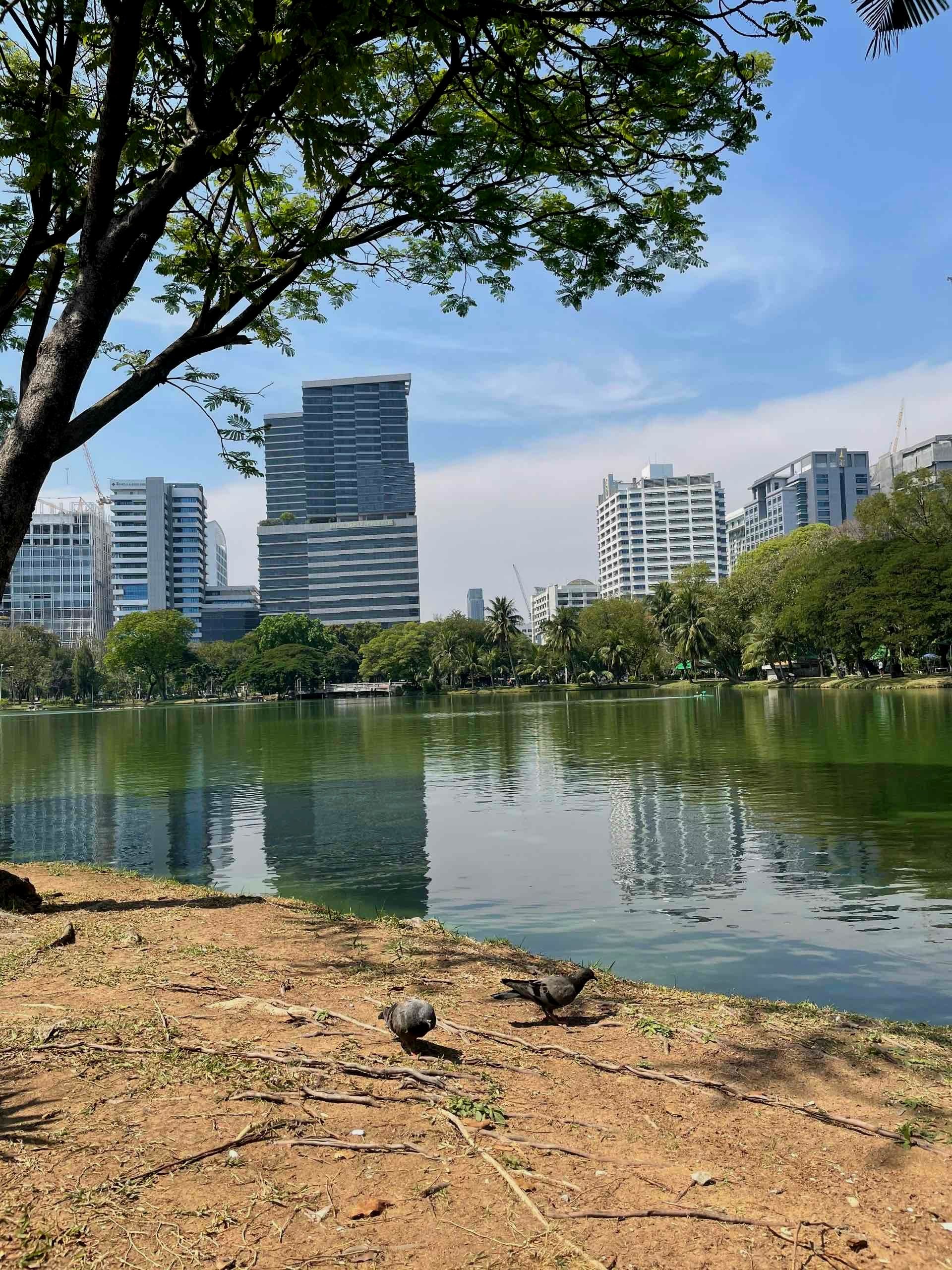 Throw back to when I wandered around Thailand having a beautiful time ever
📍Lumphini Park