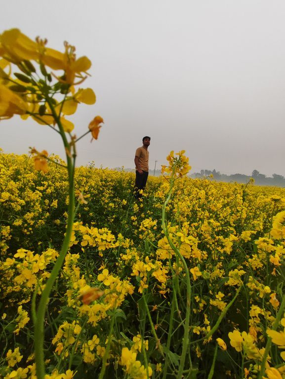 Aditya Pramanik's Lens avatar