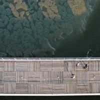 behaviorhappy (behaviorhappy.lens) Lens social identity (.lens handle) PFP