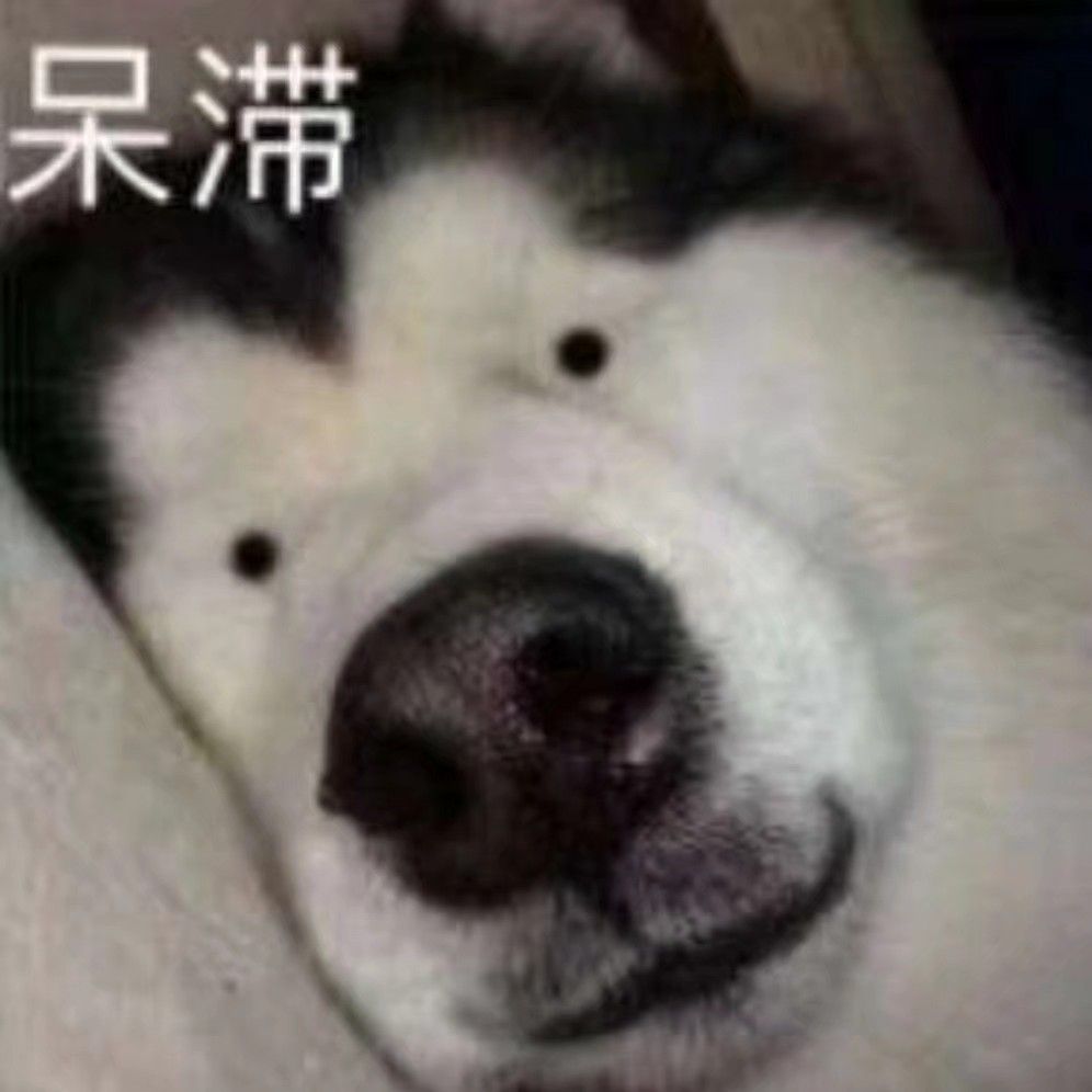 ejhc8h.lens Lens social identity (.lens handle) PFP