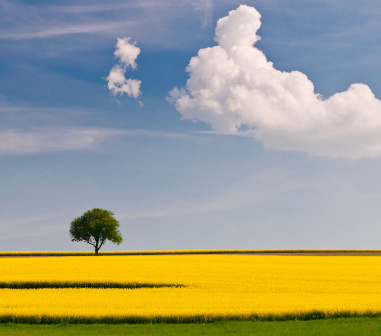 Vito (vitinha.lens) Lens social identity (.lens handle) PFP