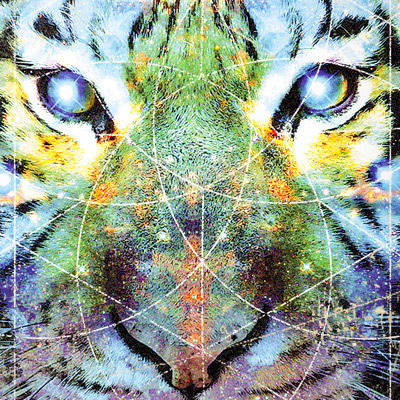 hunja (hunja.lens) Lens social identity (.lens handle) PFP