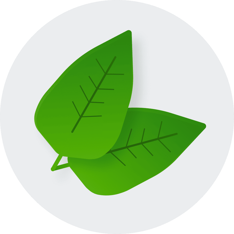 SoundMint's Lens avatar