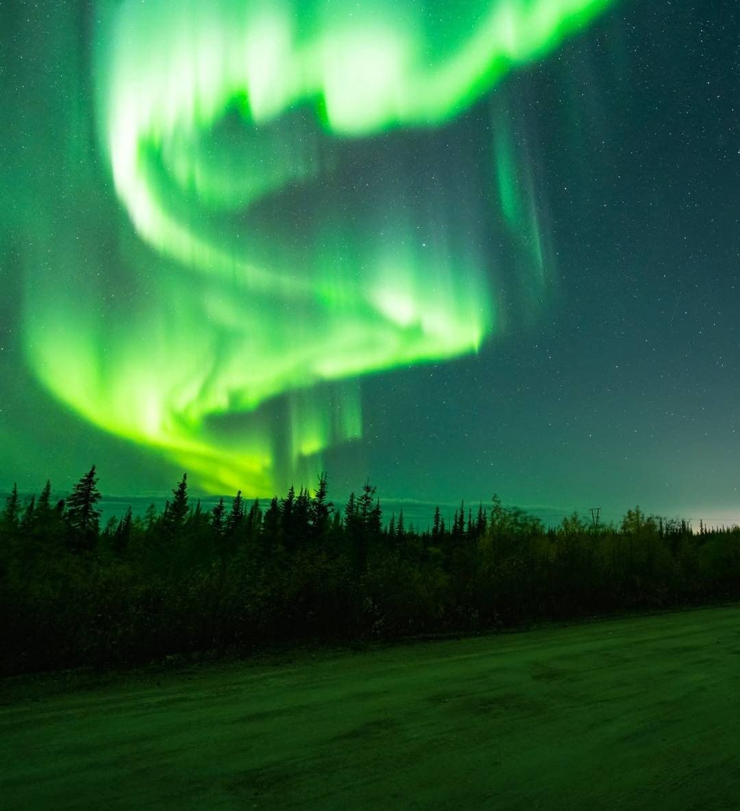 Saiga (saiga7.lens) Lens social identity (.lens handle) PFP