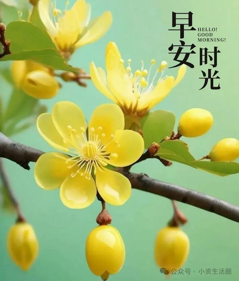 linjianming (linjianming.lens) Lens social identity (.lens handle) PFP