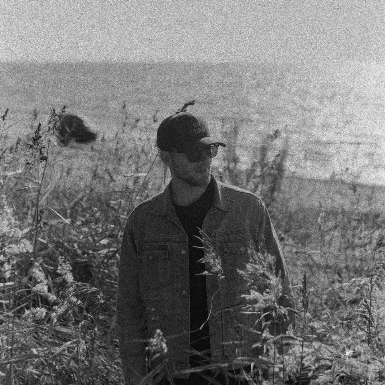 Archii (archii004.lens) Lens social identity (.lens handle) PFP