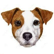 ZAV (zavzav.lens) Lens social identity (.lens handle) PFP