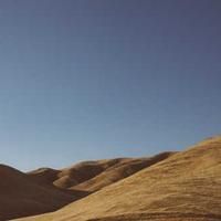 kindbed (kindbed.lens) Lens social identity (.lens handle) PFP