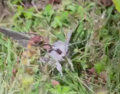 andytravenb (andytravenb.lens) Lens social identity (.lens handle) PFP