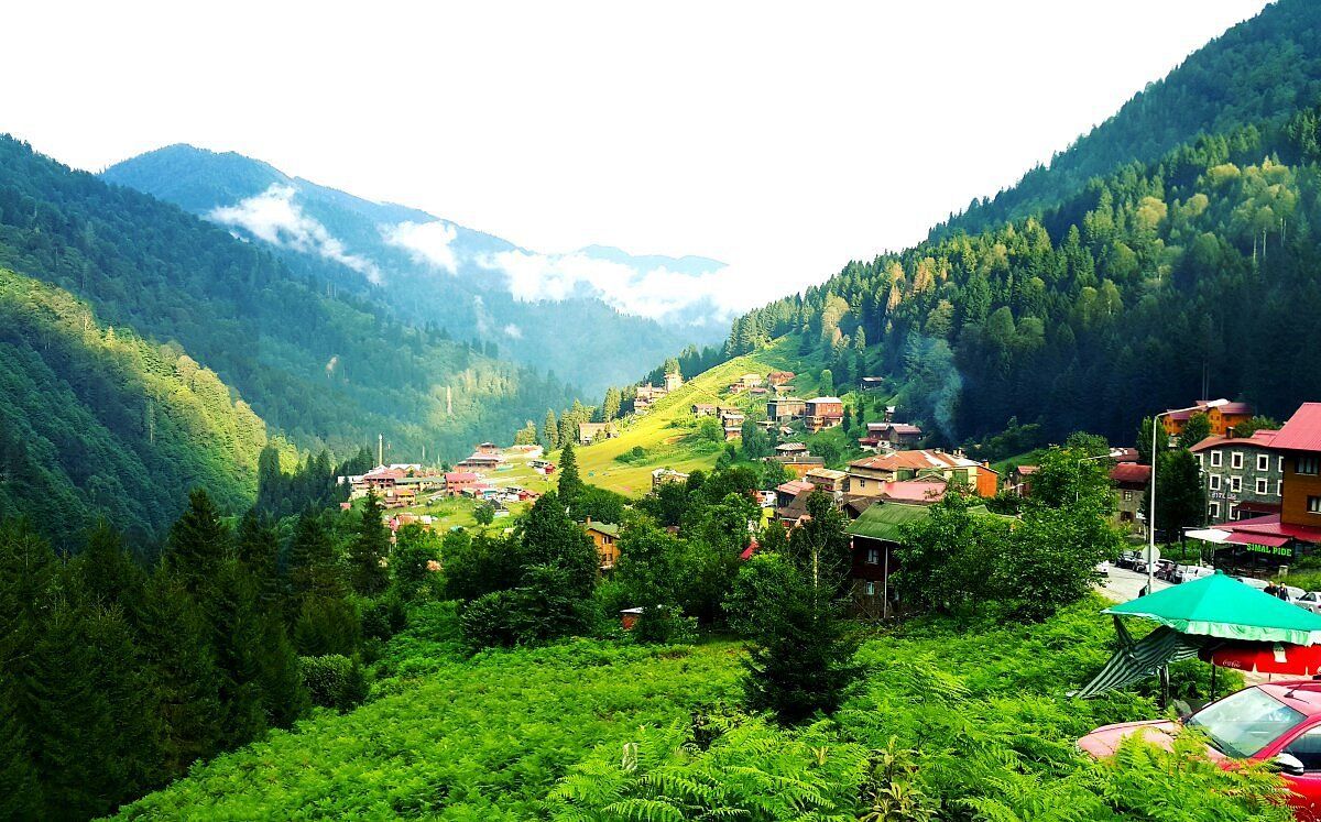 fcayder.lens Lens social identity (.lens handle) PFP