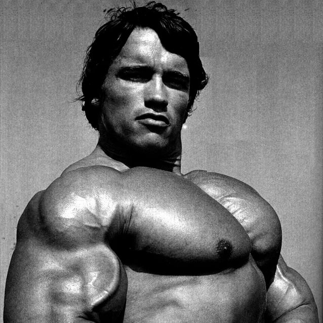 vincent (arnold_schwarzenegger.lens) Lens social identity (.lens handle) PFP
