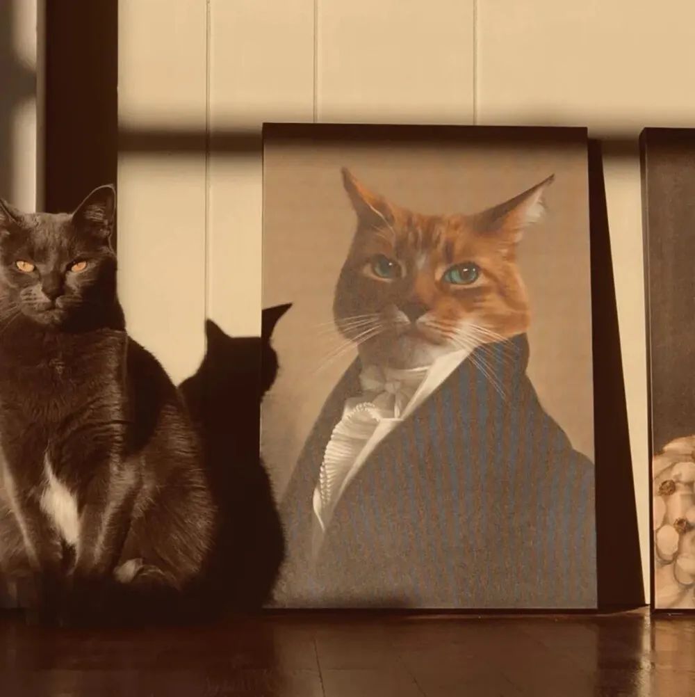 jasonporter343 (jasonporter343.lens) Lens social identity (.lens handle) PFP