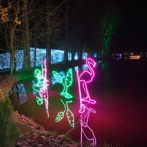 PawkaCrt (pawkacrt.lens) Lens social identity (.lens handle) PFP