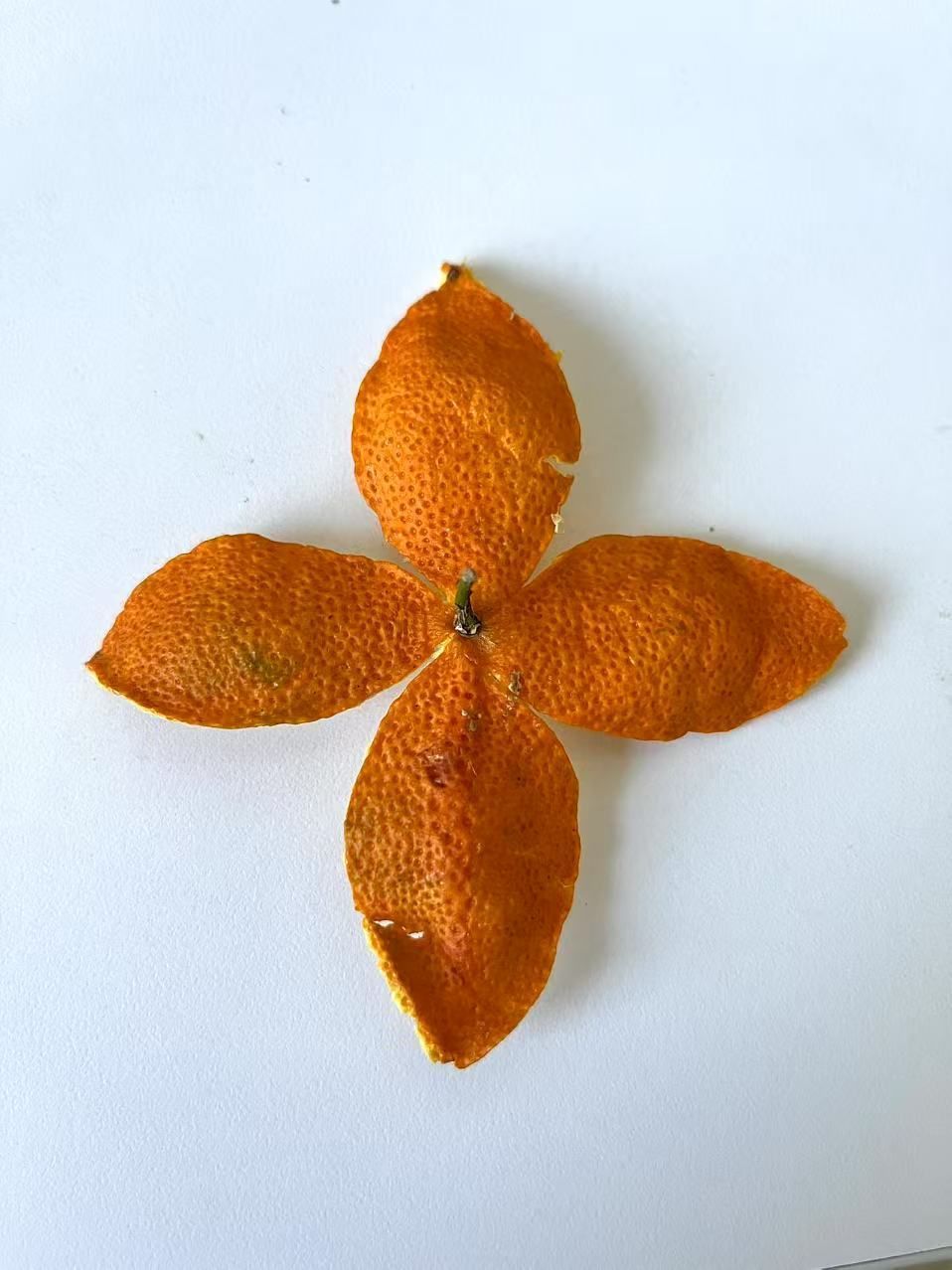 igfsrujhfv.lens Lens social identity (.lens handle) PFP