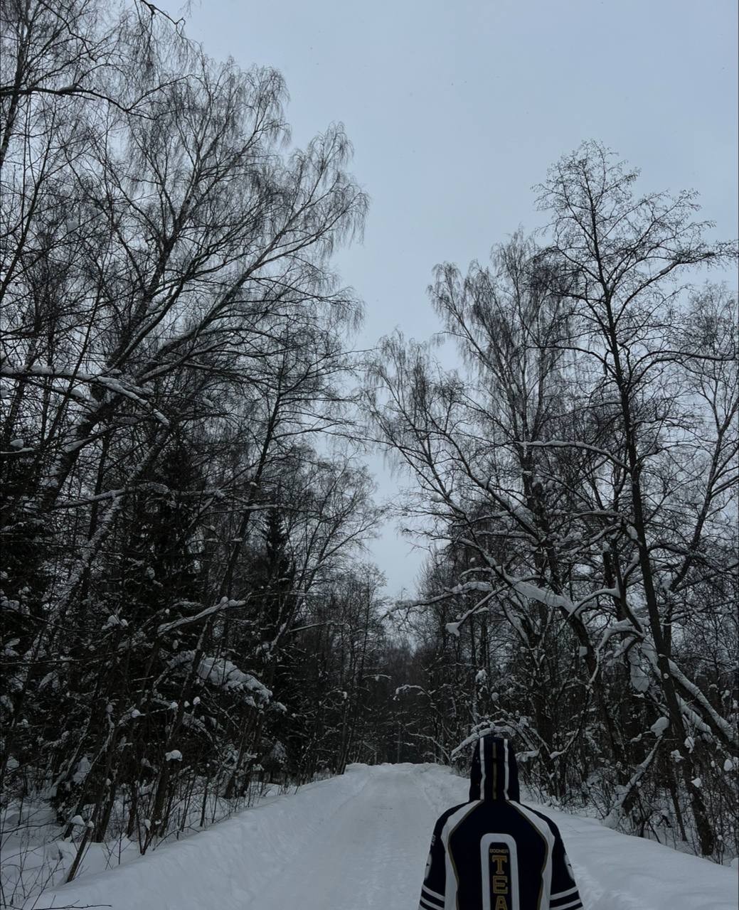 7vl2dq (i7vl2dq.lens) Lens social identity (.lens handle) PFP