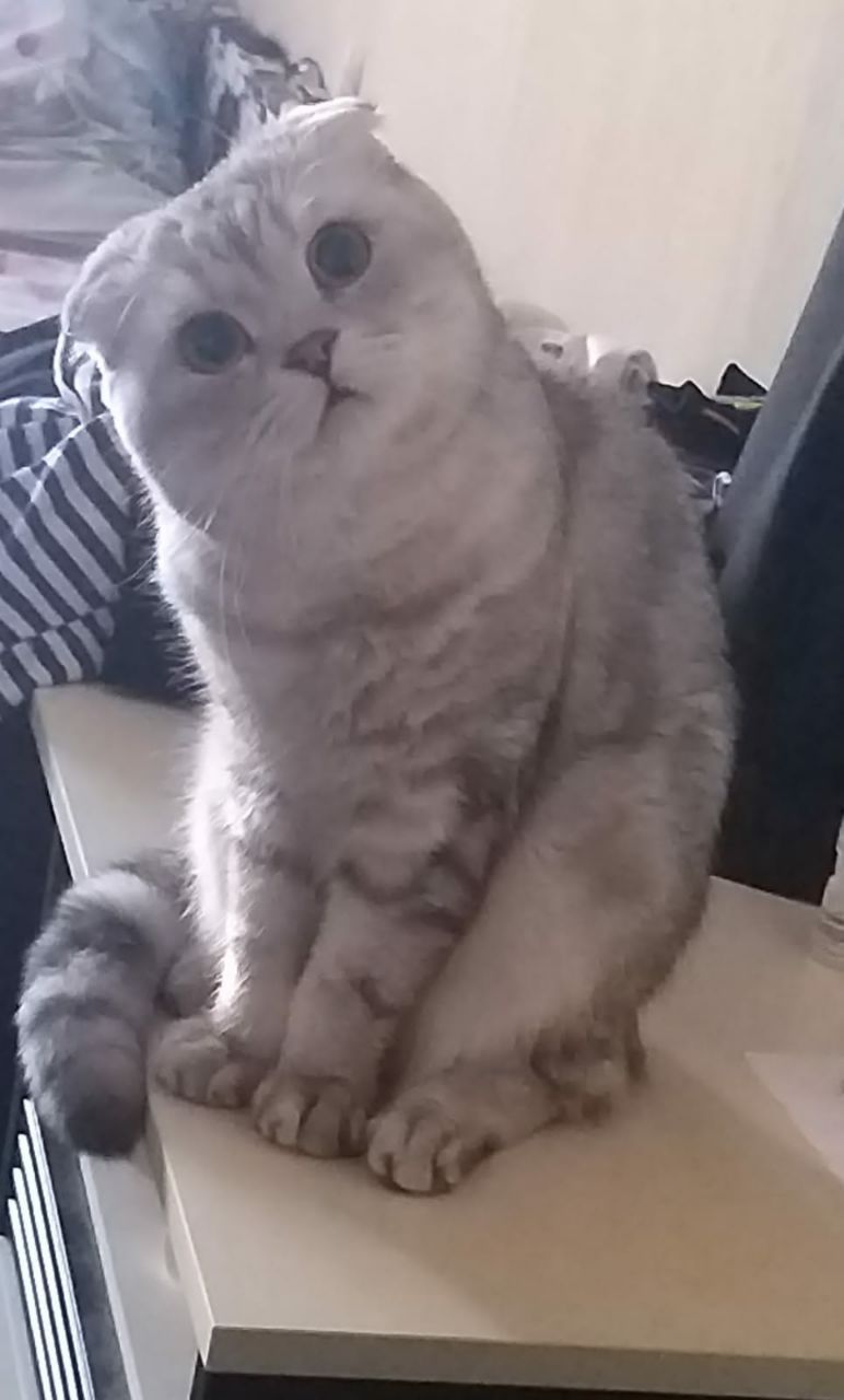 Vitalii (stadnik.lens) Lens social identity (.lens handle) PFP