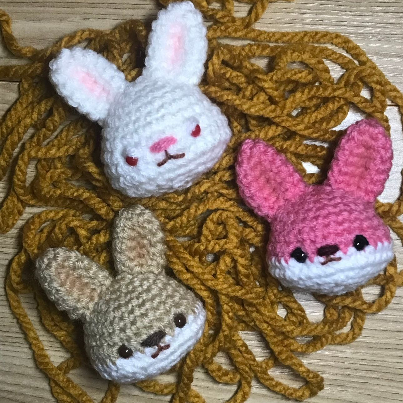 Davidrexng (socialx.lens) Lens social identity (.lens handle) PFP